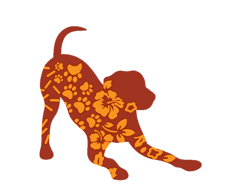 Loading Gif