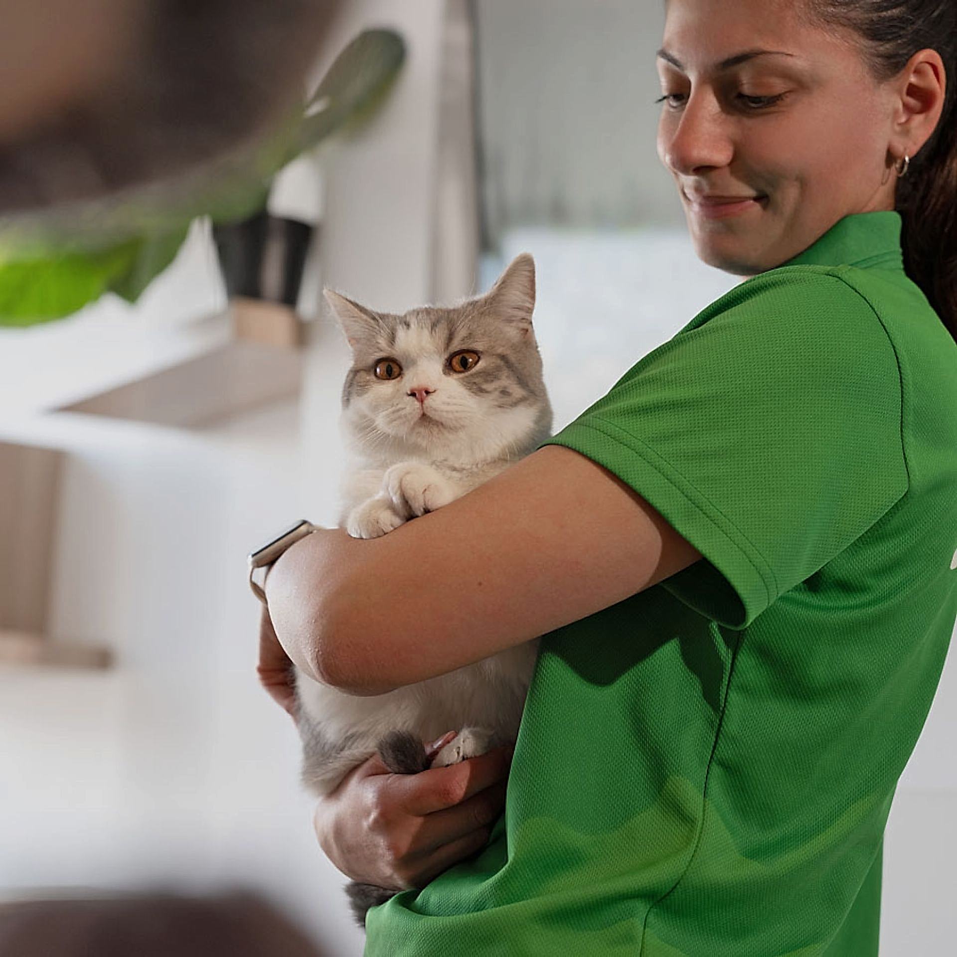 Cat Boarding